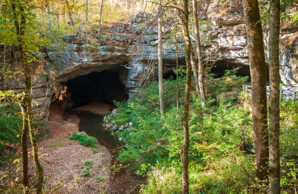 istock Stream Through Cave at Russell Cave National Monument 2203758064