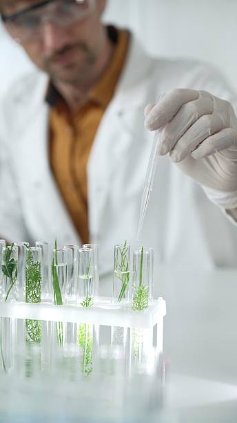 istock Man scientist wearing a lab coat, white gloves and protective glasses, is dripping liquid from a pipette into a test tube with a green plant inside, vertical close up view. Science and medicine 2203758315