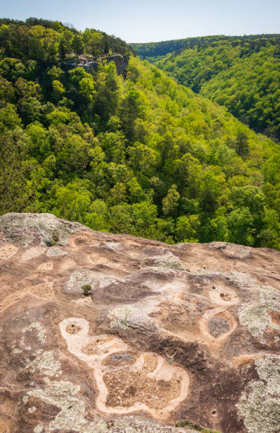istock Stone Overlook at Little River Canyon National Preserve 2203758427
