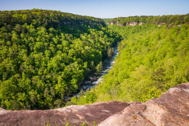 istock Little River Canyon National Preserve 2203758492