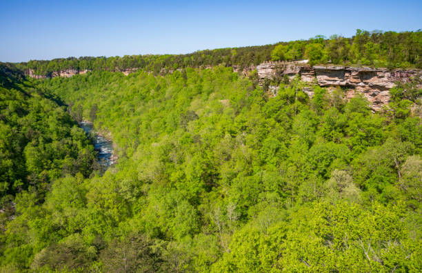 istock Cliffs and River at Little River Canyon National Preserve 2203758527