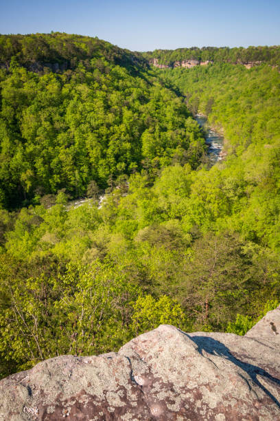 istock Winding River at Little River Canyon National Preserve 2203758549