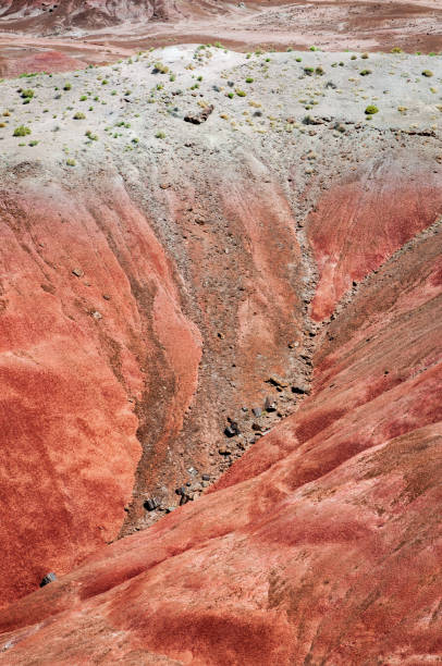 istock Red Earth at Petrified Forest National Park 2203760490