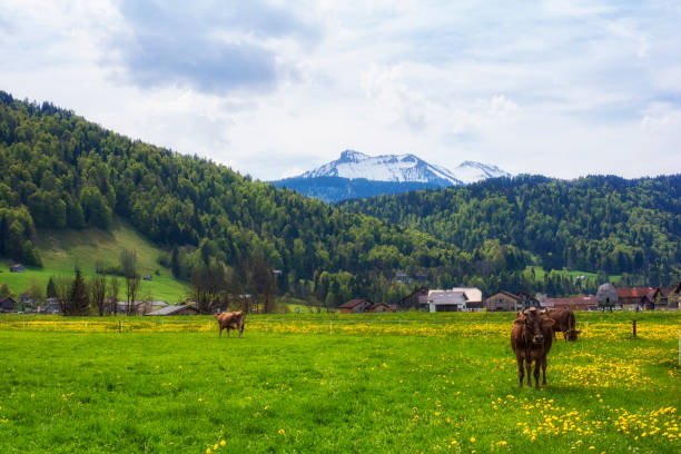 istock ishgel Austria Landscape Landschaft 2203760956