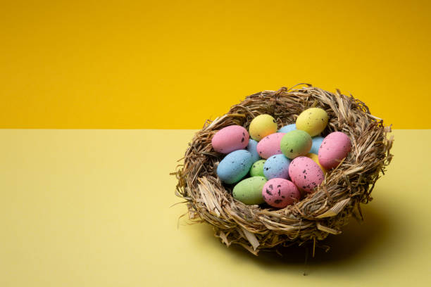 istock Colorful easter eggs fill nest against a yellow background for the spring holiday 2203762289