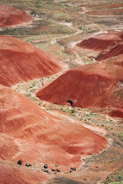 istock Winding River at Petrified Forest National Park 2203764439