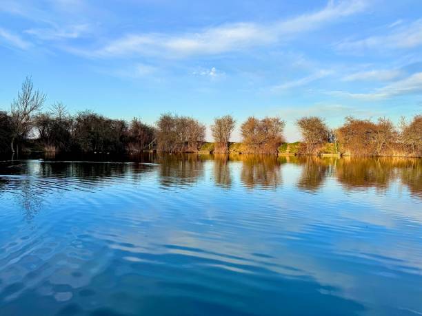 istock Blue sky trees and clouds reflecting on a lake in Northumberland 2203765646