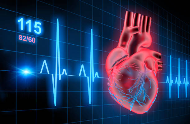 istock Illustration of Human Heart with ECG graph 2203767011