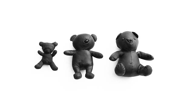 black teddy bears isolated on white background