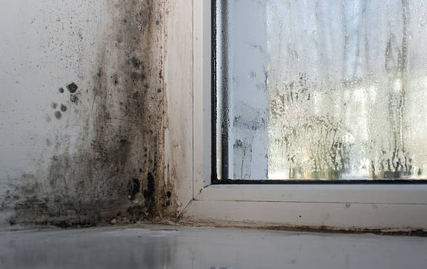 istock the fashion for plastic windows. humidity and condensation 2203770358
