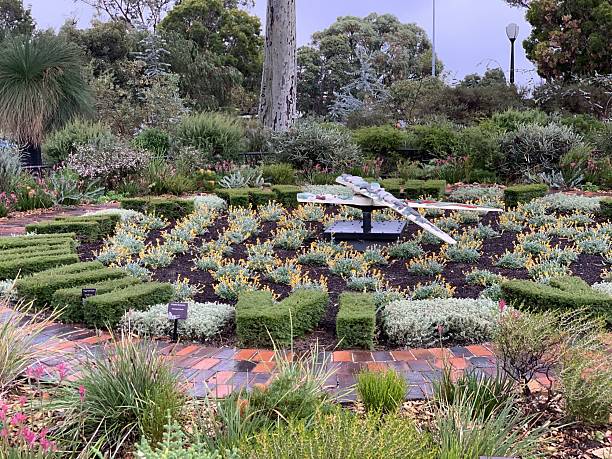 istock Vibrant botanical garden featuring diverse plants and a dragonfly sculpture 2203772059