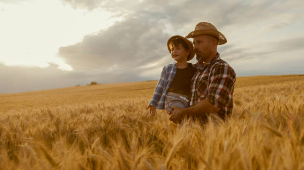istock Caucasian Father and Son in Golden Wheat Field 2203778165