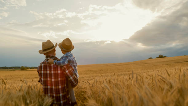istock Father And Son Bonding In Golden Wheat Field At Sunset 2203778177