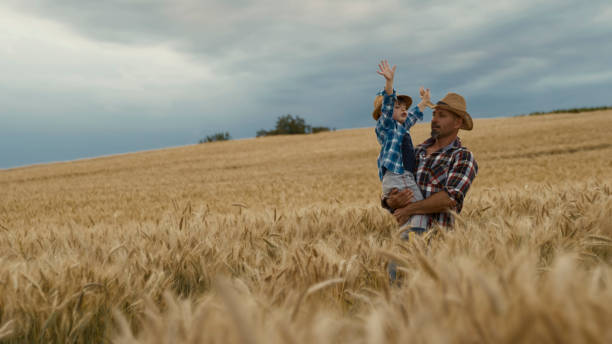 istock Father Holding Young Son in Golden Wheat Field Under Cloudy Sky 2203778184