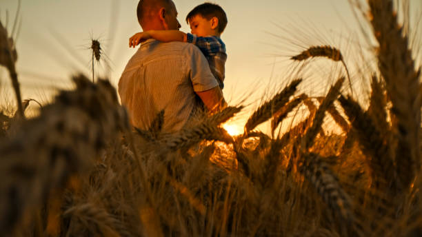 istock Father and Son Bonding in Golden Wheat Field at Sunset 2203778228