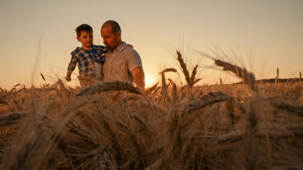 istock Father and Son Bonding in Golden Wheat Field at Sunset 2203778255