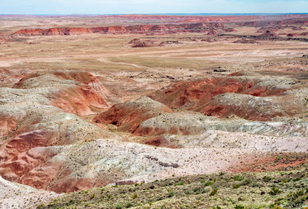 istock Red Earth at Petrified Forest National Park 2203778423