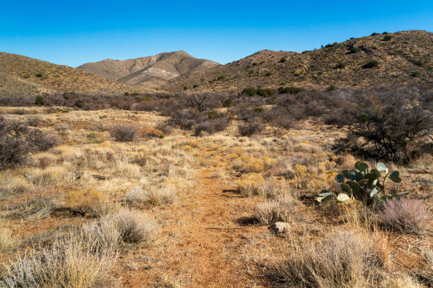 istock Apache Pass, Fort Bowie National Historical Site 2203778725