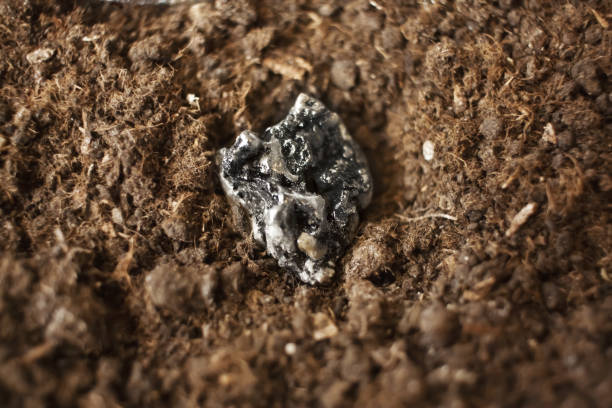 Rare-earth element metals, ore, electronic components, scandium, yttrium, lanthanum, cerium, praseodymium