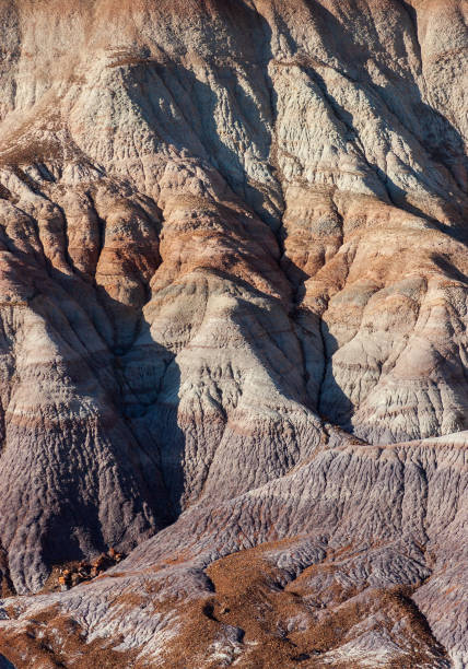 istock White Earth at Petrified Forest National Park 2203780309
