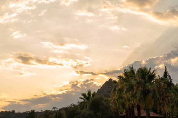 Sunset behind the mountain, surrounded by lush greenery and palm trees. Bright reflections of the sun's rays across the sky.