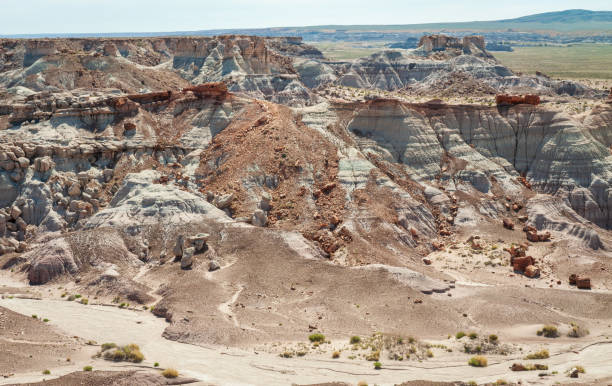 istock Painted White Earth at Petrified Forest National Park 2203781825