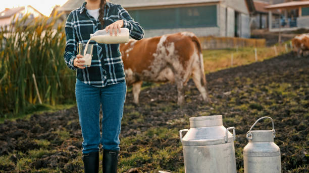 istock Woman Pouring Fresh Milk Outdoors in Rustic Farm Setting 2203781920