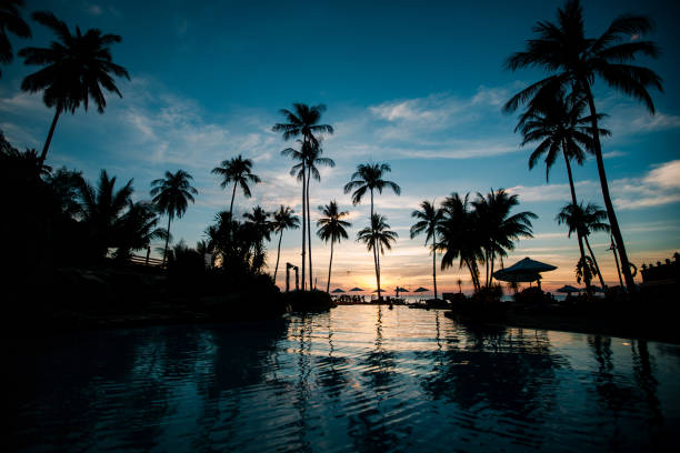Close up large swimming pool and palm trees during sunset at seaside of Antalya, Turkey