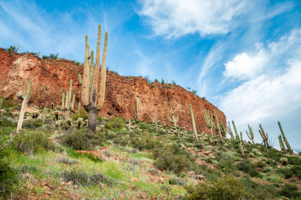 Tonto National Monument, Sonoran Desert, Arizona