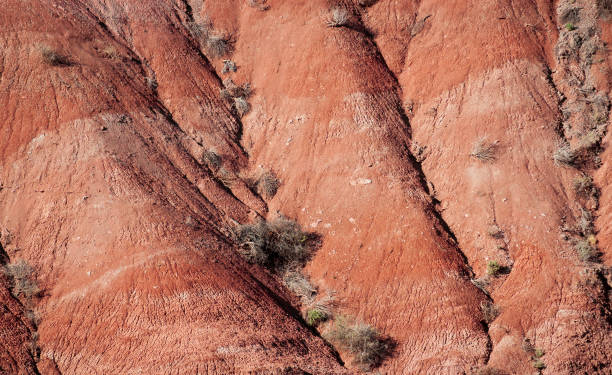 istock Steep Red Dune at Petrified Forest National Park 2203788276