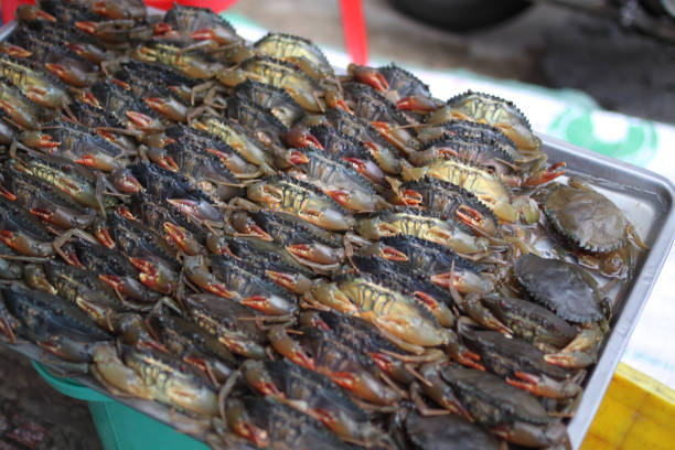 Fresh crabs neatly arranged in a metal tray at a bustling Vietnamese seafood market, highlighting fresh ingredients and local food culture