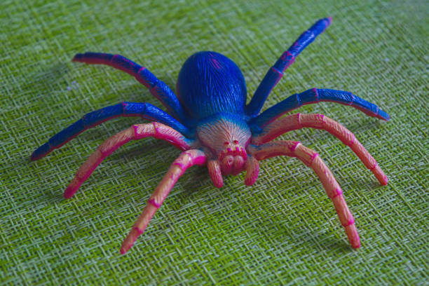 A realistic colorful plastic spider toy close up on a green surface close-up.