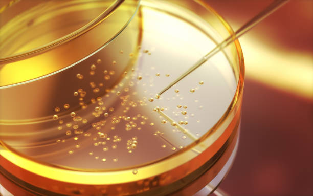 istock Testing Liquid from Glass Pipette into Petri Dish on Reflective Background 2203797393