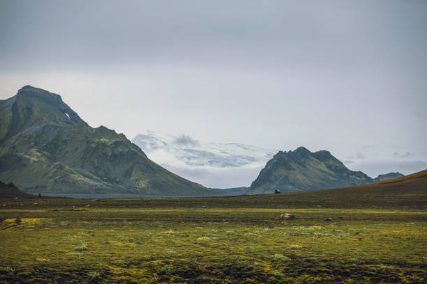 A mesmerizing view of Iceland’s highlands, where rugged green mountains rise from vast open plains. In the background, a massive glacier stretches across the horizon, partially veiled in mist. The contrasting textures of moss-covered slopes and icy ridges highlight the raw beauty of this untouched Nordic wilderness.