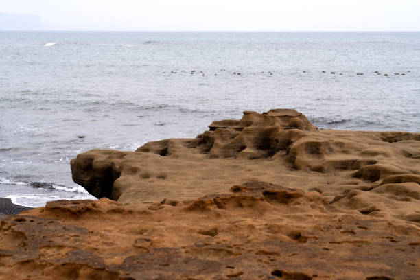 istock sedimentary rocks with fossils at the beach 2203807437
