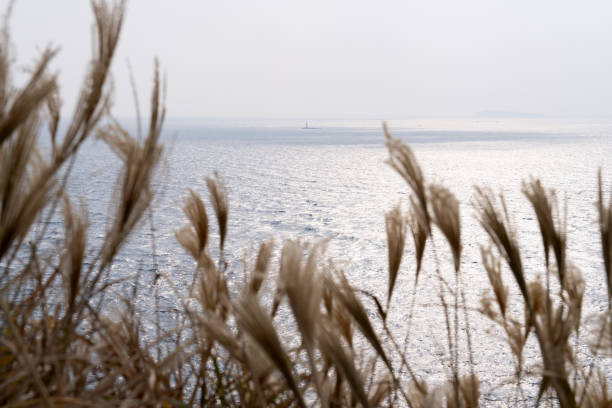 idyllic seascape