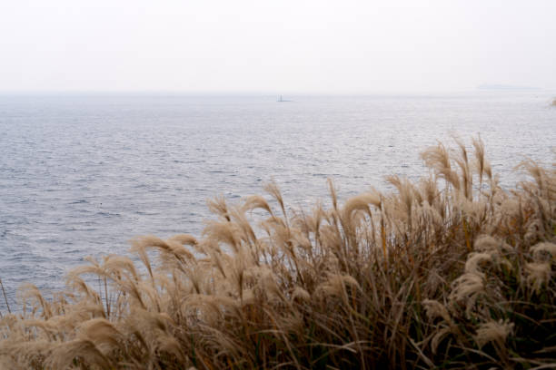 idyllic seascape