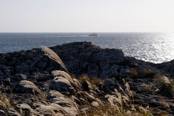 idyllic seascape