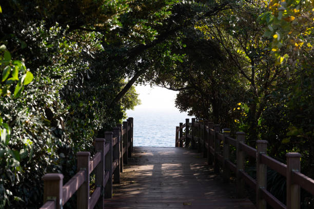 Beach Ocean Path Boardwalk Forest Green Trees Padanaram Dartmouth Massachusetts Atlantic Ocean