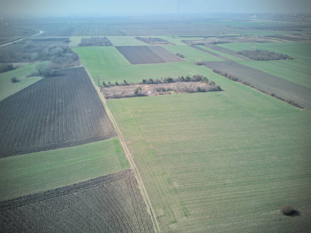 istock Agricultural cultivated green patchwork landscape 2203811157