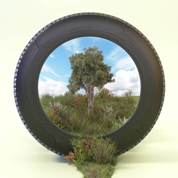 A tire frames a stunning view of a landscape featuring a solitary tree and vibrant vegetation, highlighting the beauty of nature against a blue sky with fluffy clouds.
