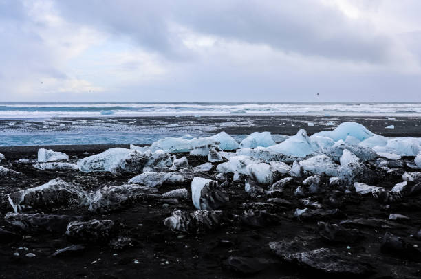 istock Icebergs melting on black sand beach in iceland under cloudy sky 2203825408