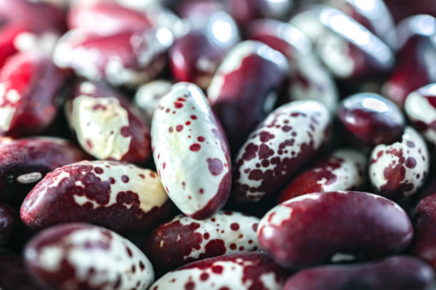 Close-up of kidney beans.