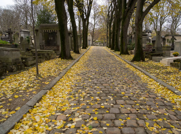 Paris,France-23.11.2024 A tranquil pathway winds through a historic cemetery, covered with vibrant yellow leaves as autumn settles in.