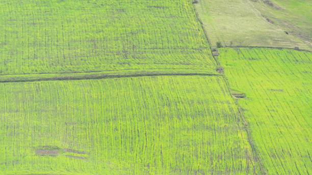 istock Green mountain landscapes, crops and agriculture 2203829488