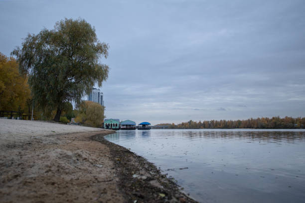 A tranquil riverside setting showcases a sandy shore lined with trees and distant buildings. The water reflects the overcast sky, creating a serene atmosphere in autumn.