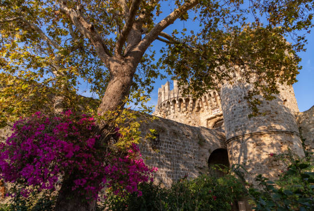A picture of the Cannon Gate, part of the Medieval Rhodes City Walls, next to colorful flowers and vegetation.