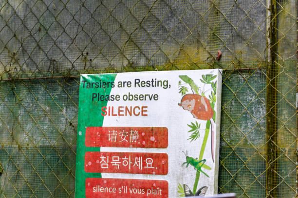 Steel fence, blurred background and animal shelter volunteers keep animals safe, secure and fed for adoption play outdoors in nature. Pet care, veterinary clinic and workers behind chain link fence
