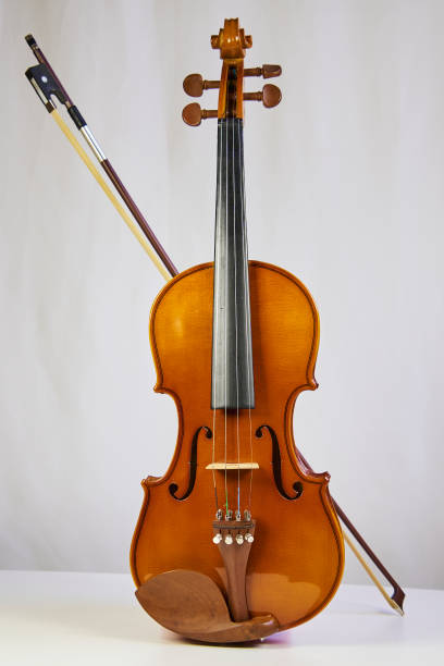 istock Violin, musical instrument isolated on white background 2203835273