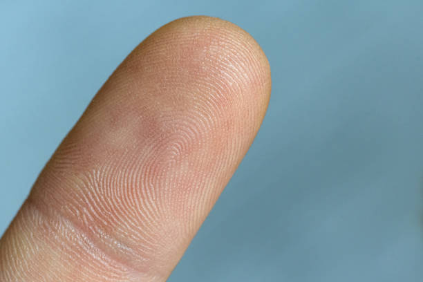 istock Macro Close-Up of an Index Finger with Clear Fingerprints on Blue Background – Copy Space 2203837911